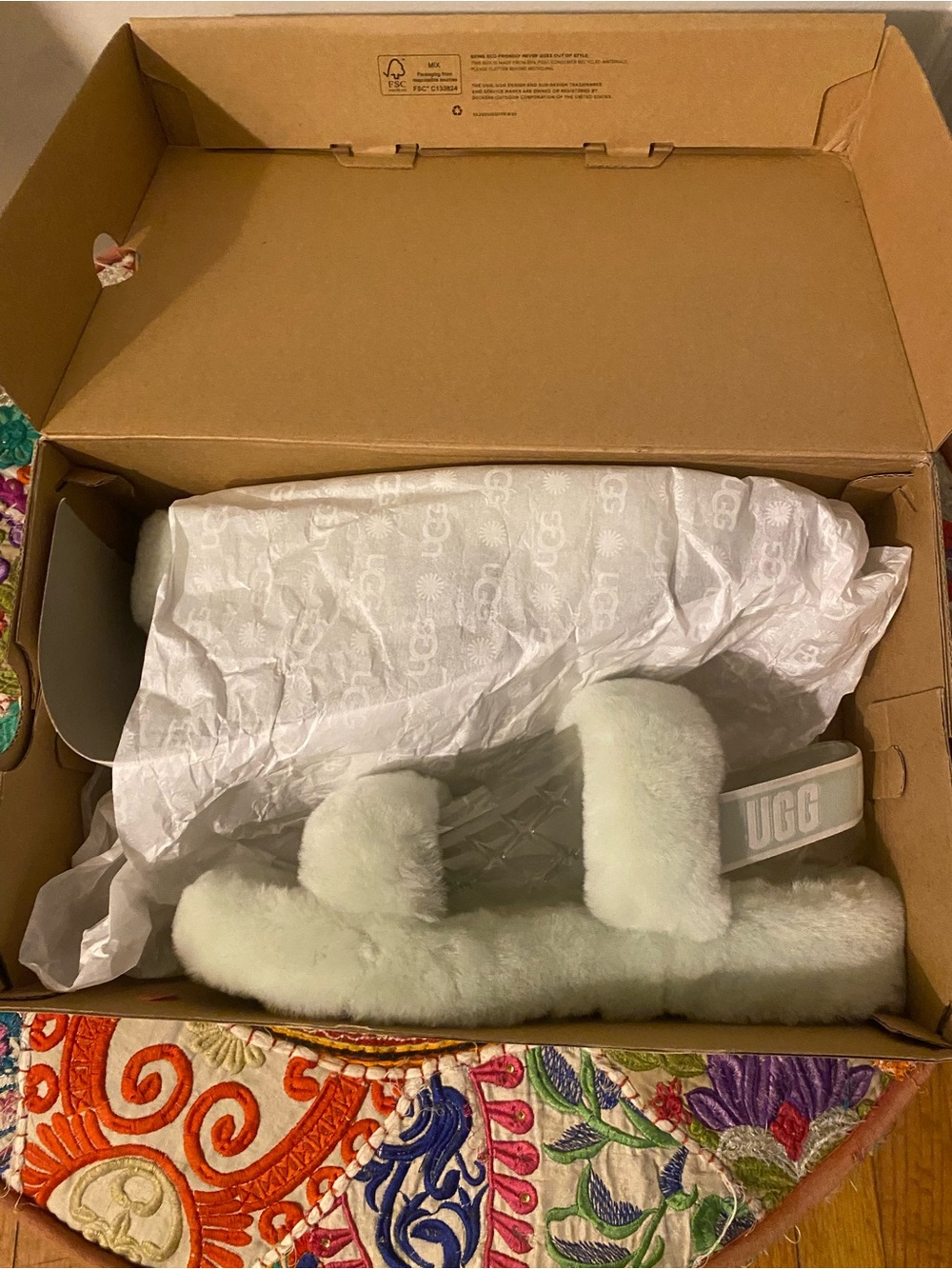 UGG Plush Slide Sandal in Light Mint